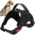 eng_pl_Pressure-free-dog-harness-M-15374_8